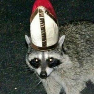 Meet your Posher, Cameron